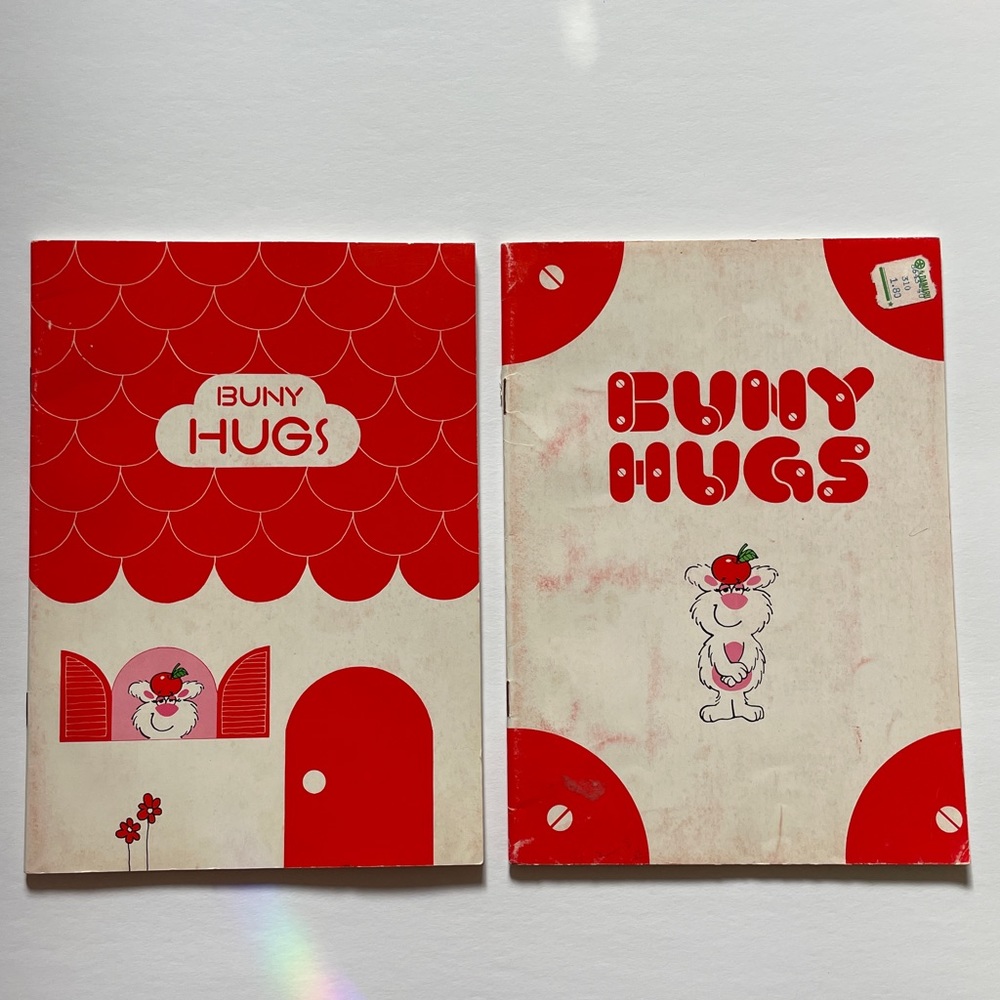 vintage japanese notebooks Buny hugs x2